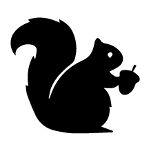 titansquirrel